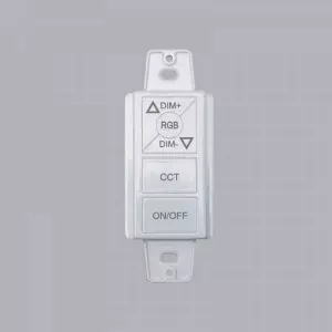 Remote điều khiển LED Smart RCS